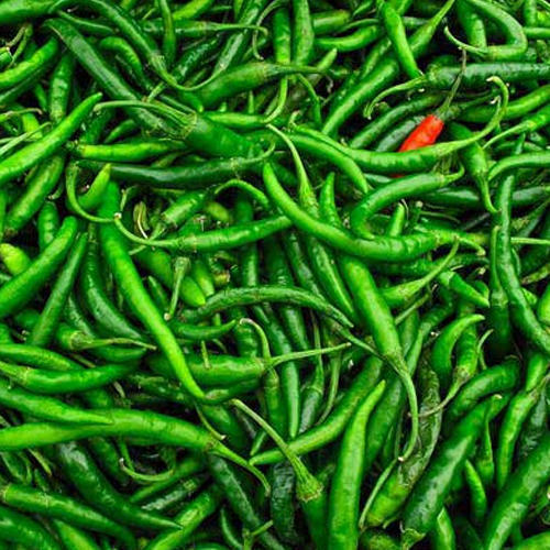 Green Chilli